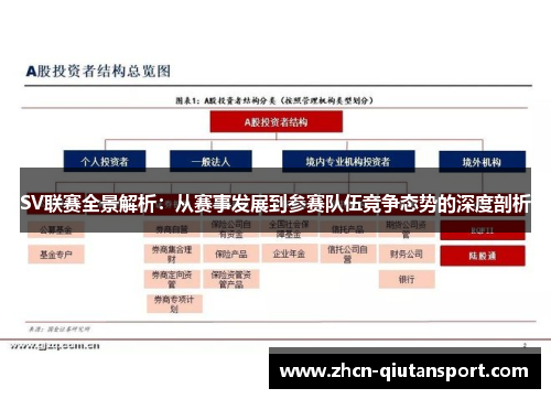 SV联赛全景解析：从赛事发展到参赛队伍竞争态势的深度剖析